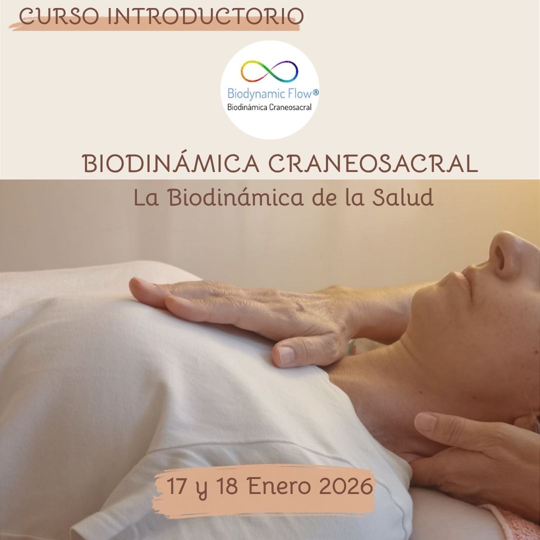 Curso de introducción enero 2026