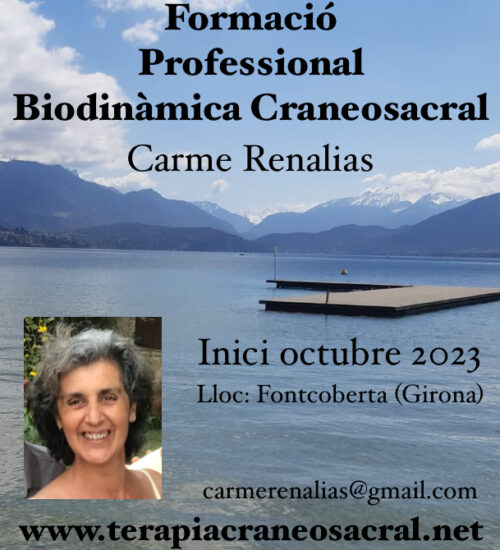Curso web Carme Renalias BC10
