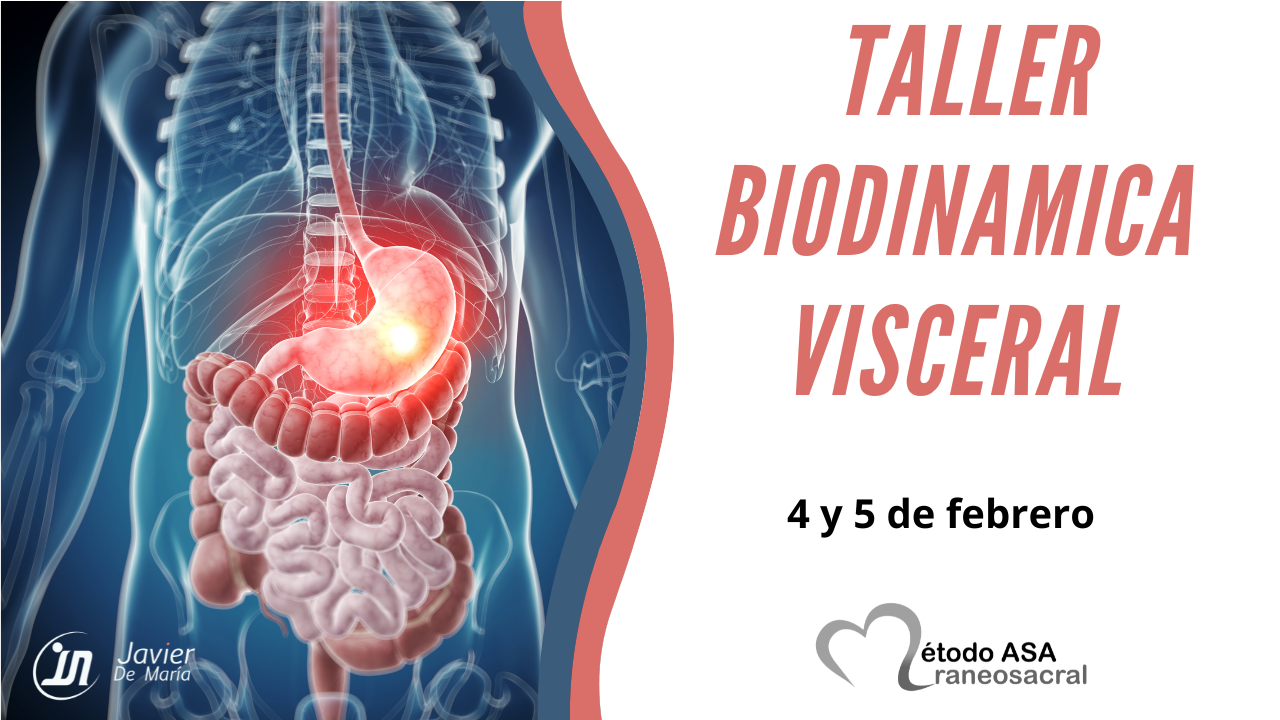 Taller Biodinámica Visceral