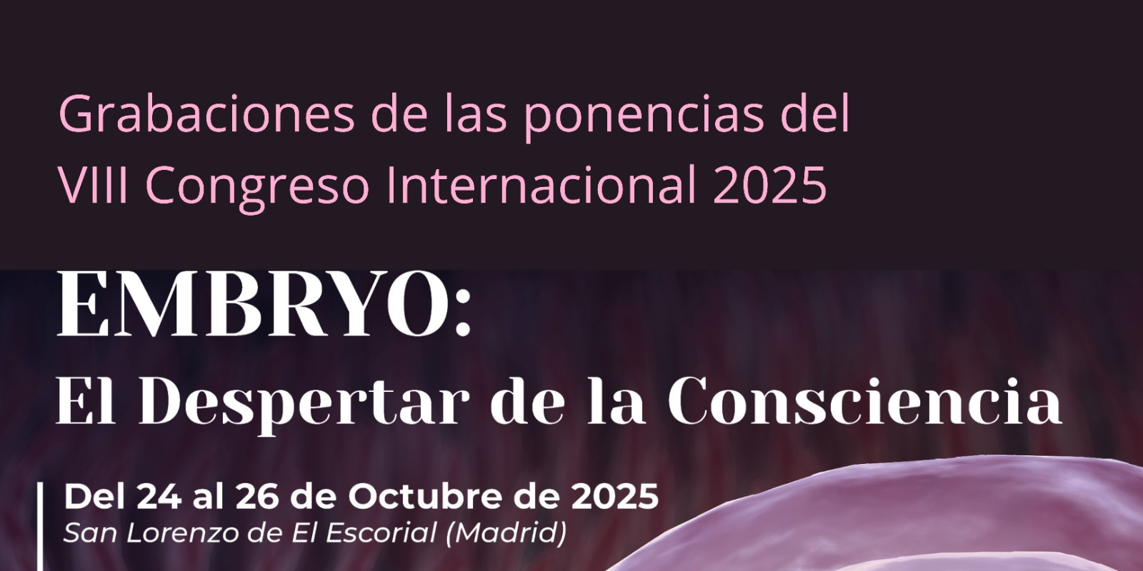 WhatsApp Image 2026-01-26 at 10.08.15