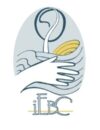 iEBC Logo 2025