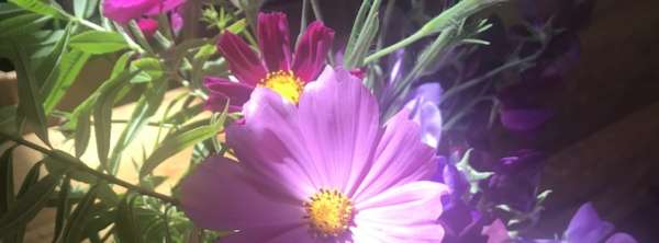 Carme